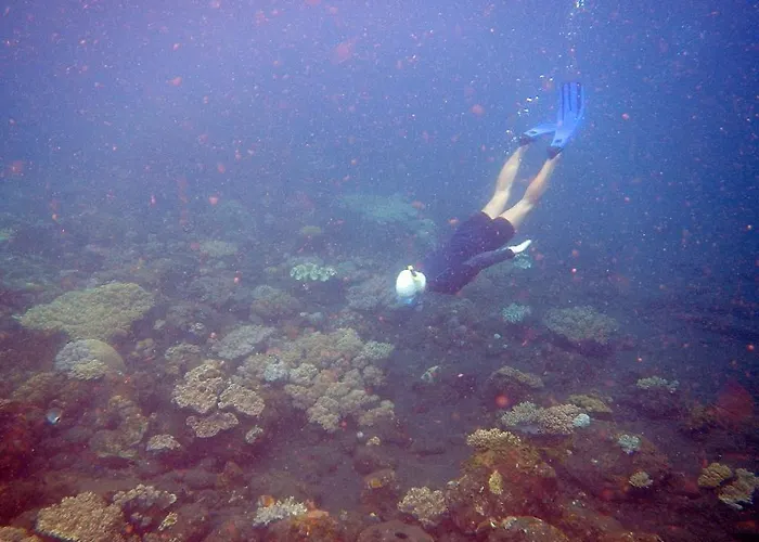 Cape Gulah Bali * Tejakula